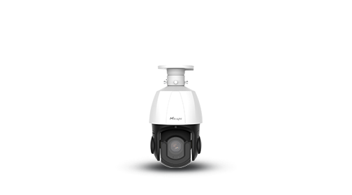 outdoor low outdoor low