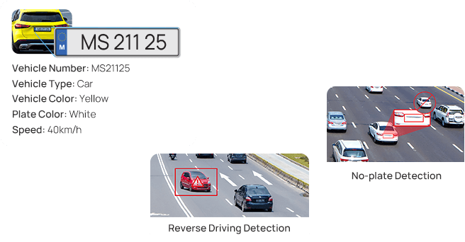 traffic violation