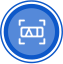 icon license
