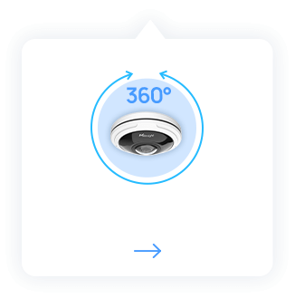 עין דג 360 מעלות