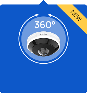 fisheye camera