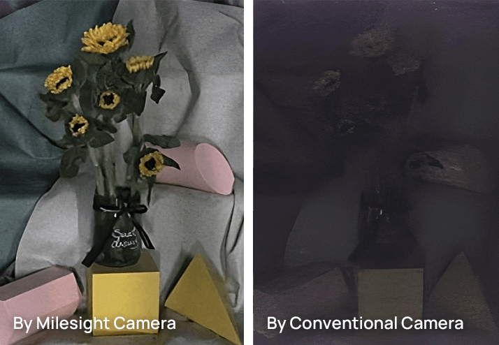 starlight performance