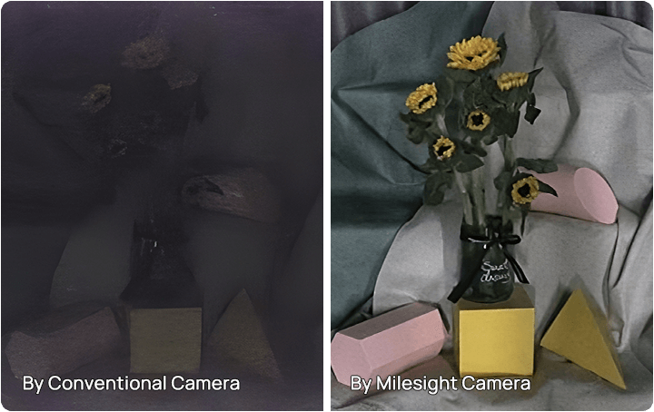 0.005lux ultra low light