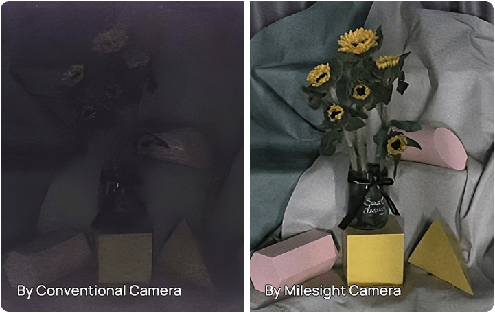 0.005lux ultra low light