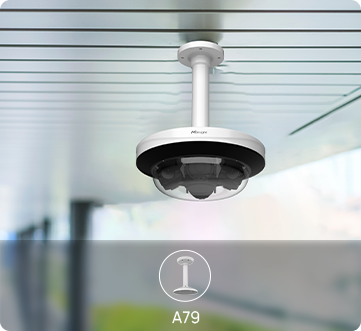 ceiling mount