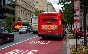 bus lane infringement