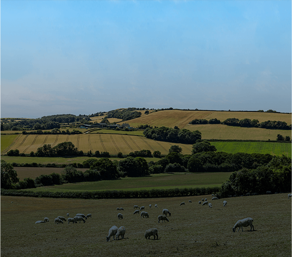 orchard or farm 2 orchard or farm 2