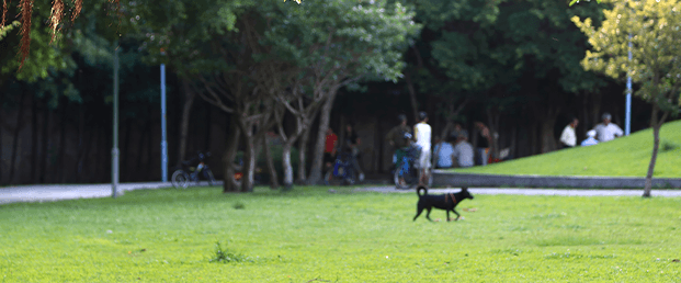 related product bg dual sensor related product bg dual sensor