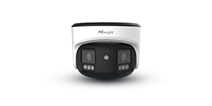 dual sensor 180 panoramic