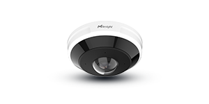 fisheye camera