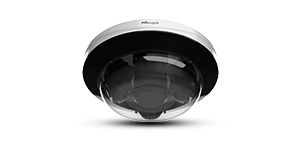 multi directional camera