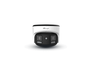 dual sensor