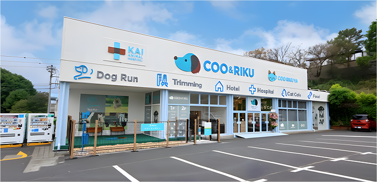 case retail