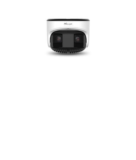 dual sensor