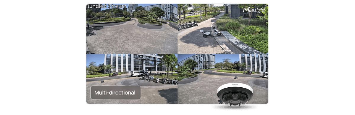 multi directional view
