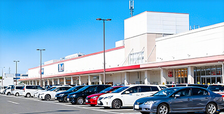 solution retail lot