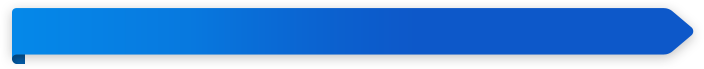 1 1