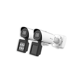 e and e supplement light