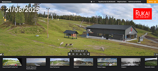 live view 3