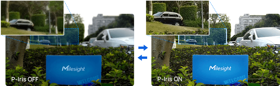 12 p iris control