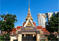 case cambodia