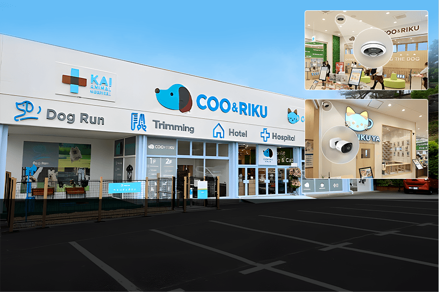 japan pet store