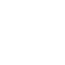 icon co2