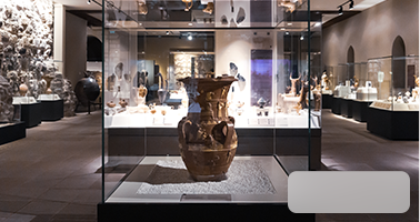 smart museum solution