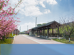 people counting sensors for scenic area