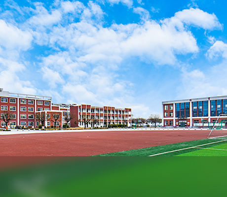 5 5 success story school