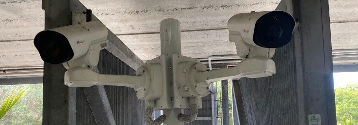 solution 1 Milesight cameras deployed above the parking lanes