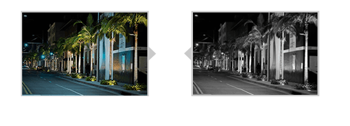 1 color and black night view